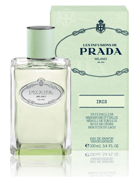 prada infusion iris fragrantica|prada infusion d'iris 50ml.